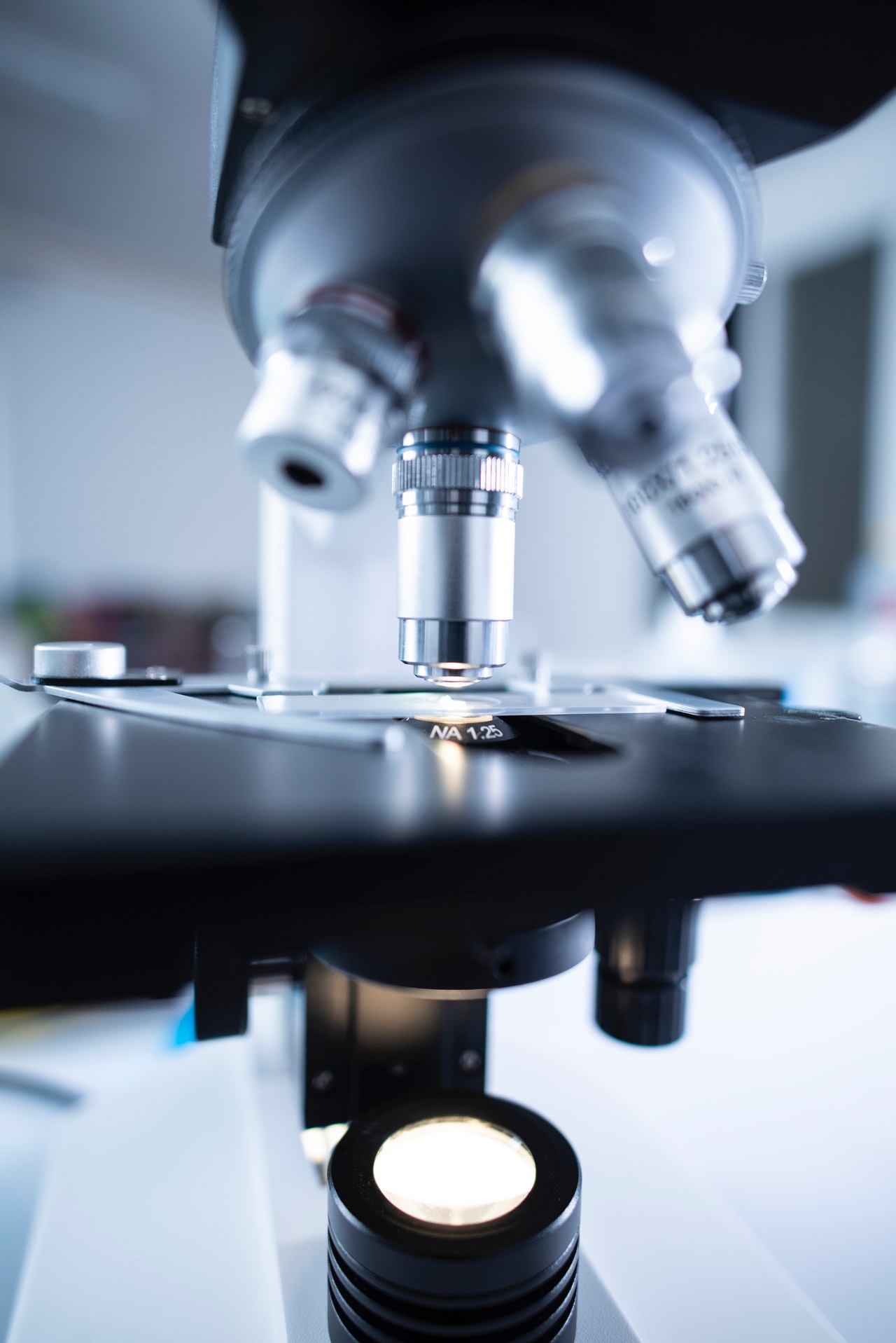Forensic Document Analysis